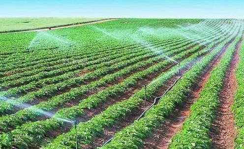 www.jk17777.xom农田高 效节水灌溉